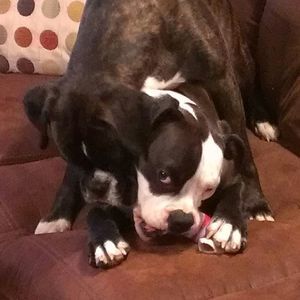 Meet your Posher, Stephen